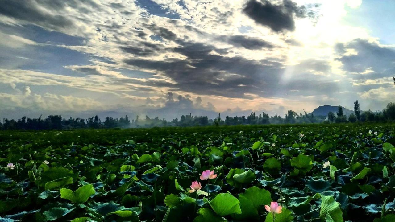 ホテル Green View Group Of Houseboats Srīnagar エクステリア 写真