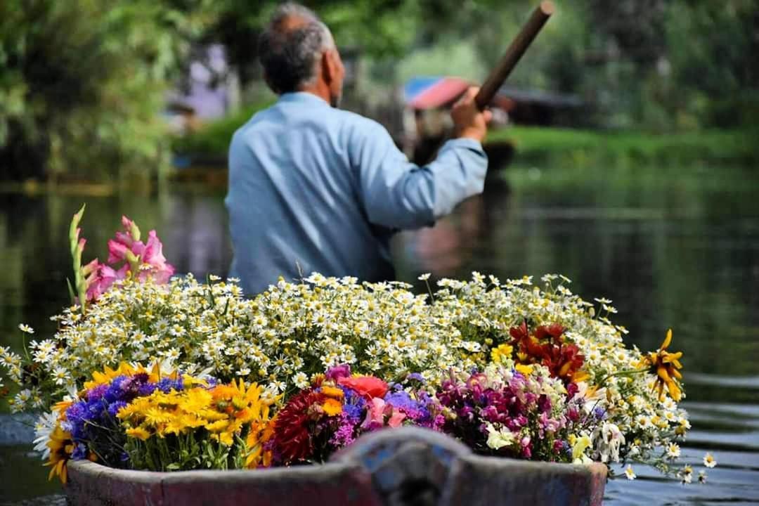 ホテル Green View Group Of Houseboats Srīnagar エクステリア 写真