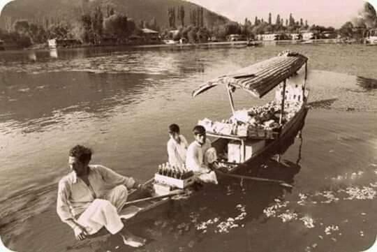 ホテル Green View Group Of Houseboats Srīnagar エクステリア 写真