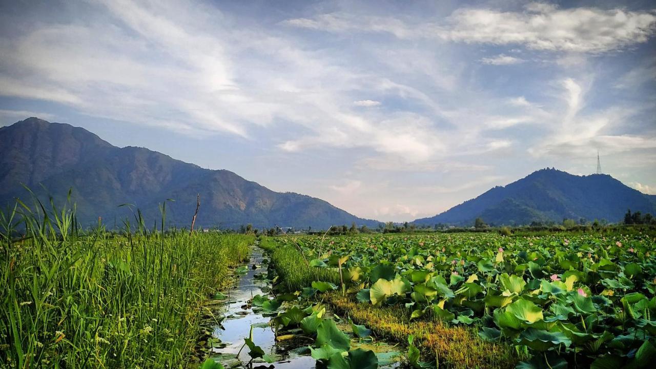 Green View Group Of Houseboats Srīnagar エクステリア 写真